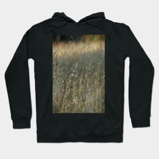 Summer Grass - Adelaide Hills - Fleurieu Peninsula - South Australia Hoodie